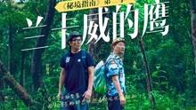 探索苜蓿地里套种的小麦什么时候割最好?的热门话题-红迪网