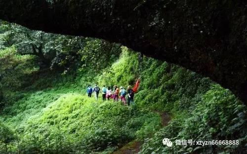 惠民服务“大餐”送到家门口