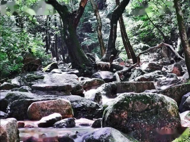 救援飞行员