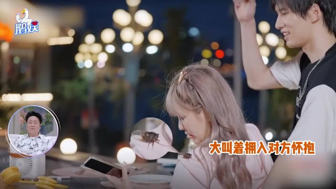 消失的国度-西夏地方势力政治变迁