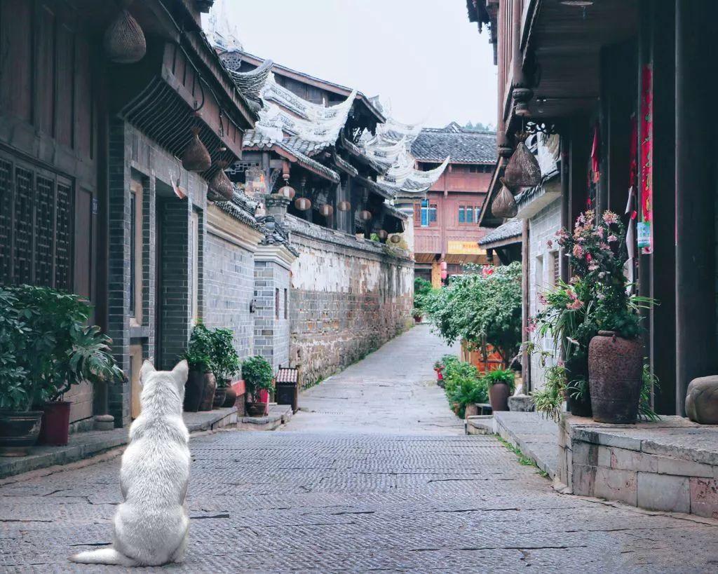 逃离部落洞穴