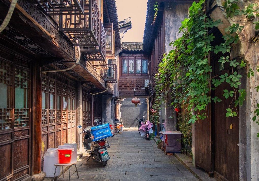 逃出田园庭院