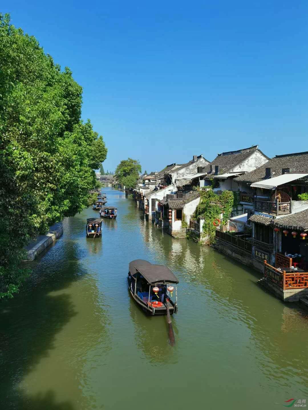 巧虎踢足球